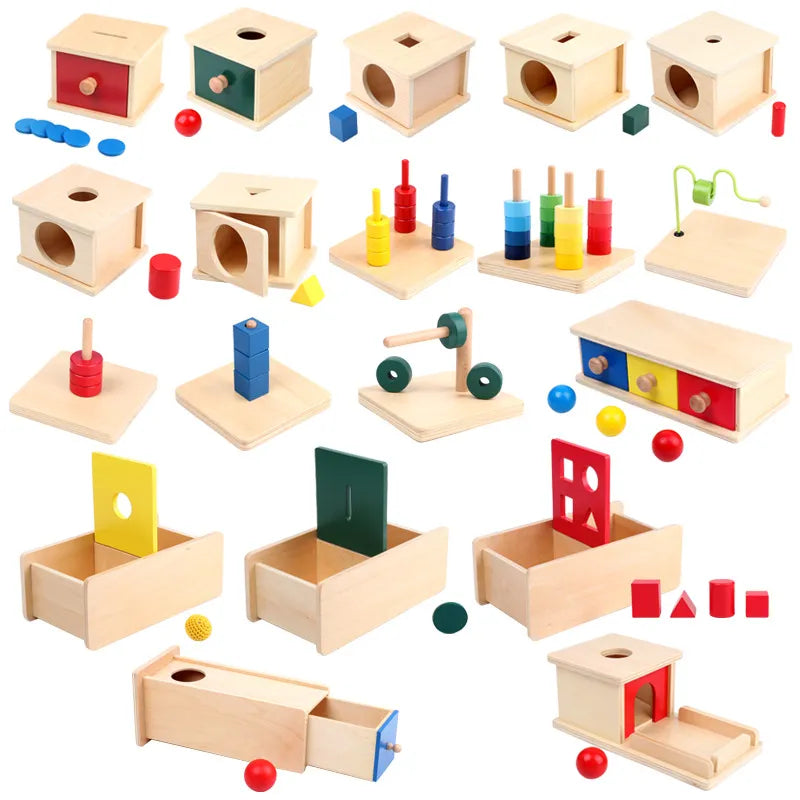 Montessori Wooden Educational Toy Set