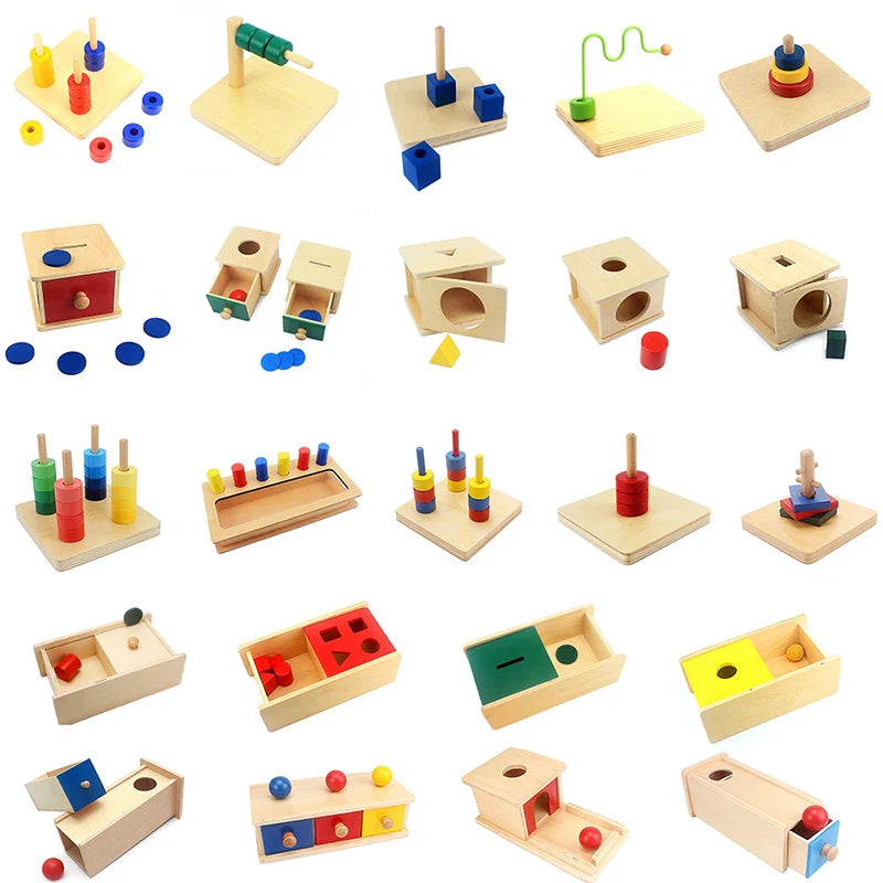 Montessori Wooden Educational Toy Set